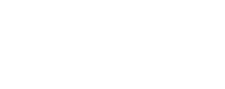 netd müzik