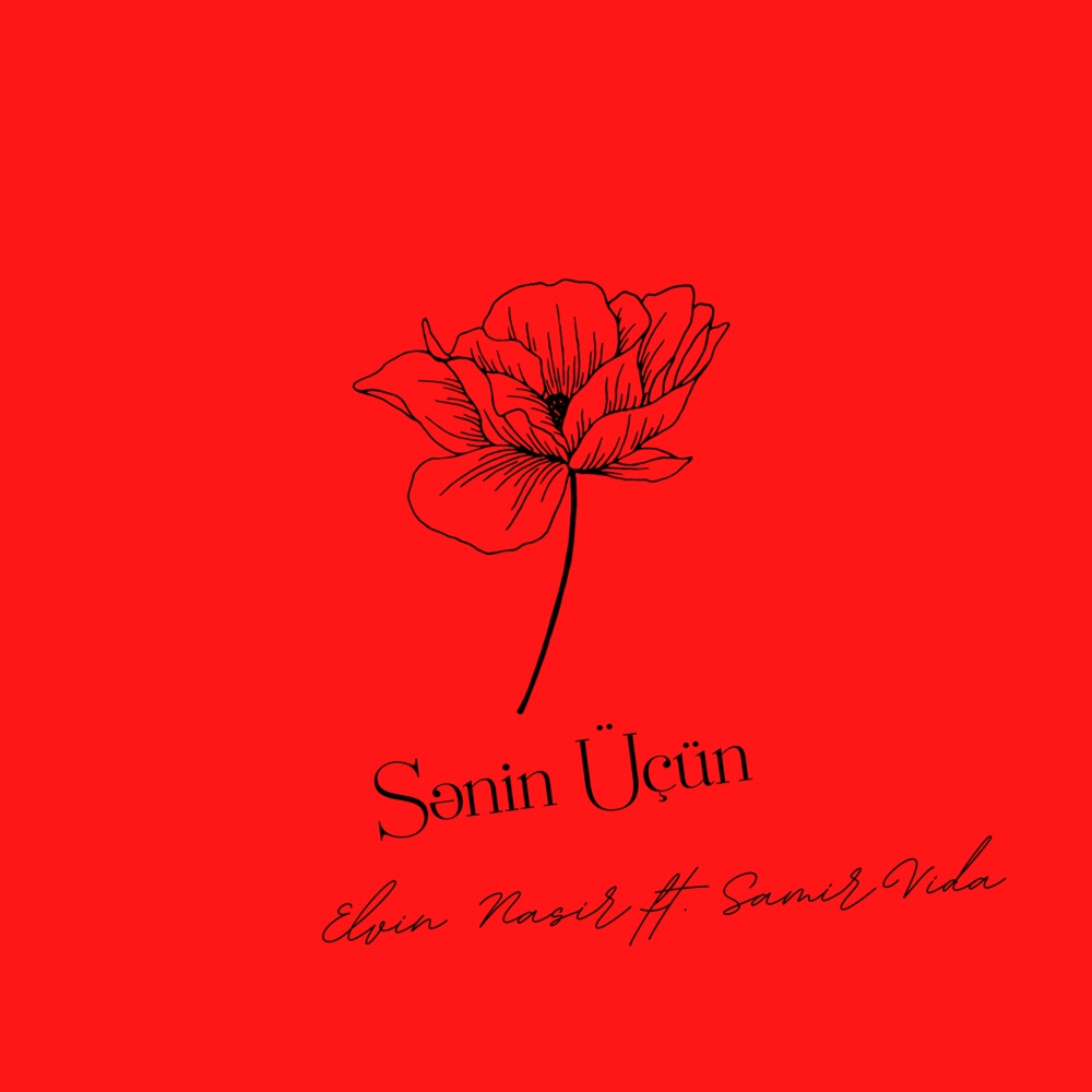 Sənin Üçün (feat. Samir Vida) - Single